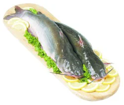 Fish Catfish Whole Fresh Service Case - 1.75 Lb