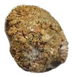 Gourmet Scallops Stuffed 4 Oz Raw 1 Count - Each