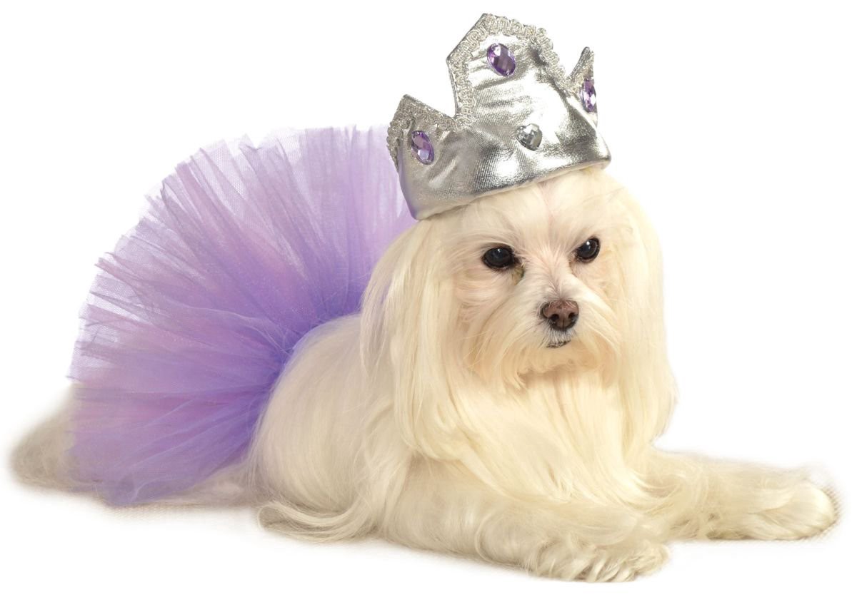 slide 1 of 1, Rubie's Costume Pet Silver Tiara w/Purple - M/L, 1 ct