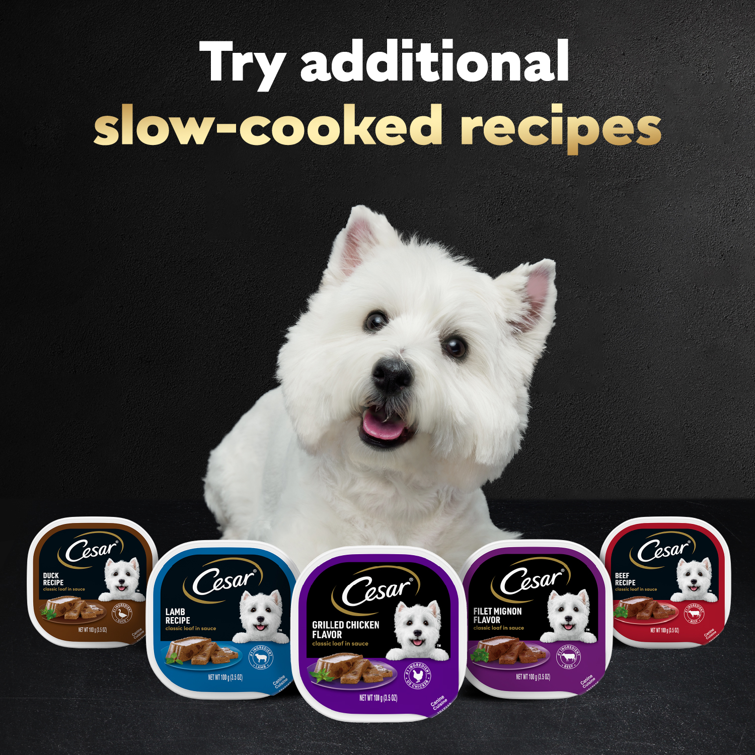 slide 5 of 8, Cesar Classic Loaf in Sauce 4 Flavors Canine Cuisine Tray 24 - 3.5 oz ea, 24 ct