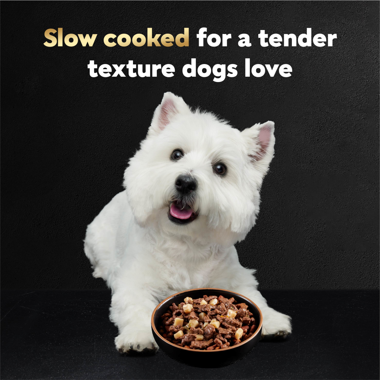 slide 7 of 8, CESAR HOME DELIGHTS Adult Soft Wet Dog Food Sausage Flavor with Egg and Cheese in Gravy, (24) 3.5 oz. Easy Peel Trays, 3.5 oz