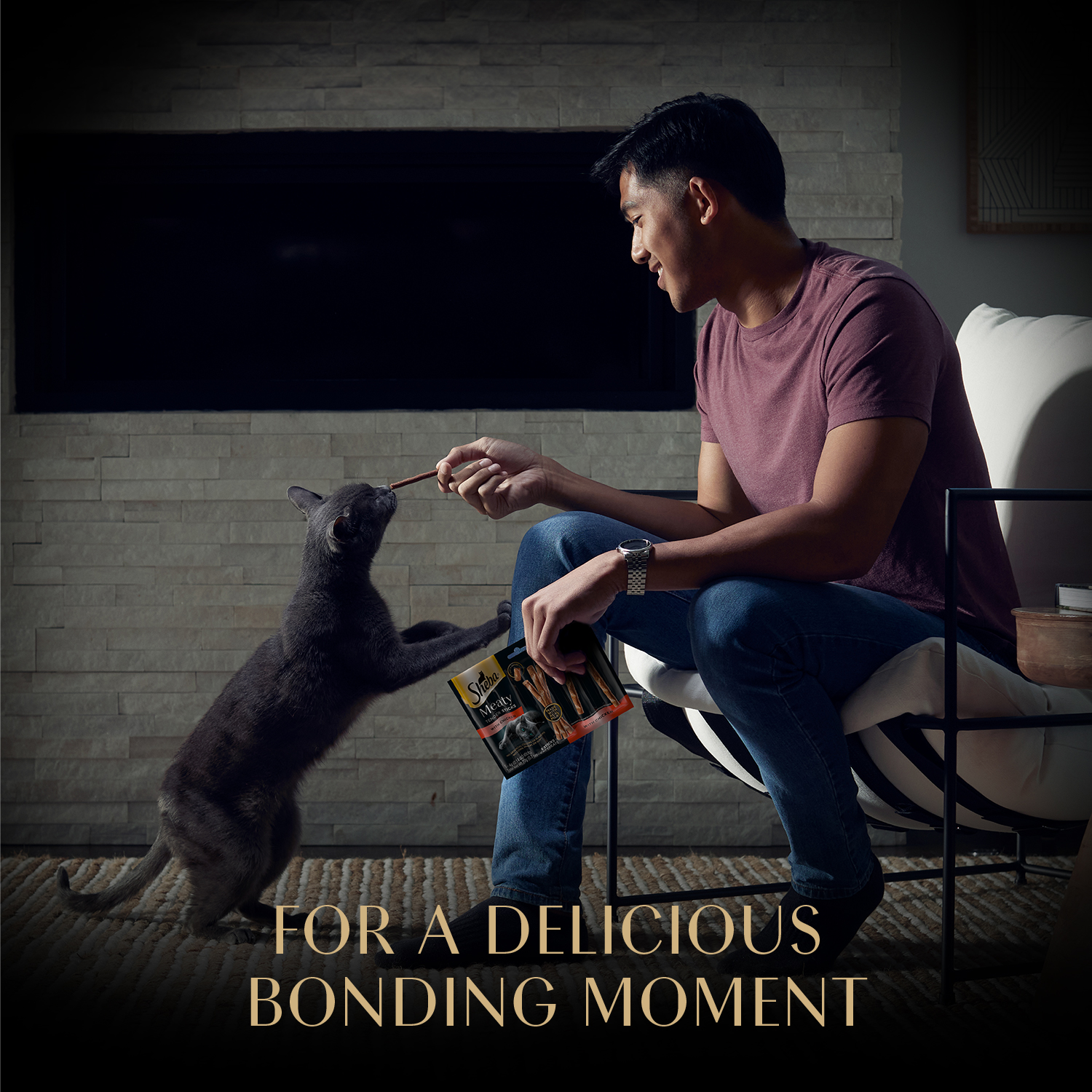 slide 5 of 8, Sheba Meaty Tender Stick Salmon Flavor Cat Treats 5 - 4 g Sticks, 5 ct