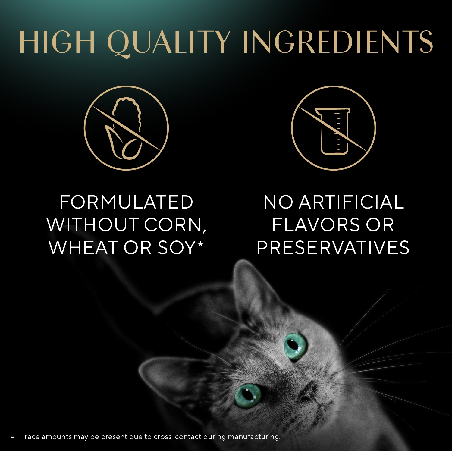 slide 7 of 8, Sheba Meaty Tender Stick Salmon Flavor Cat Treats 5 - 4 g Sticks, 5 ct