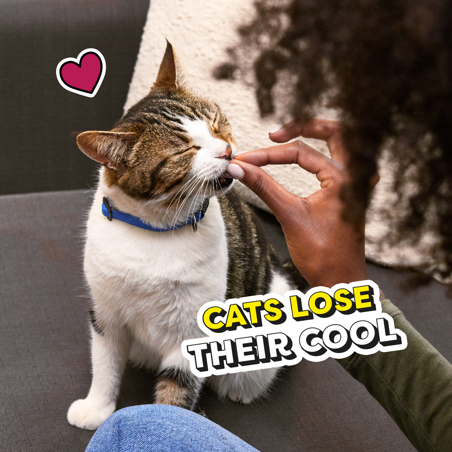 slide 2 of 8, Temptations MixUps Super Value Size Surfers' Delight Tuna Shrimp & Salmon Flavor Treats for Cats Super Value Size 30 oz, 30 oz