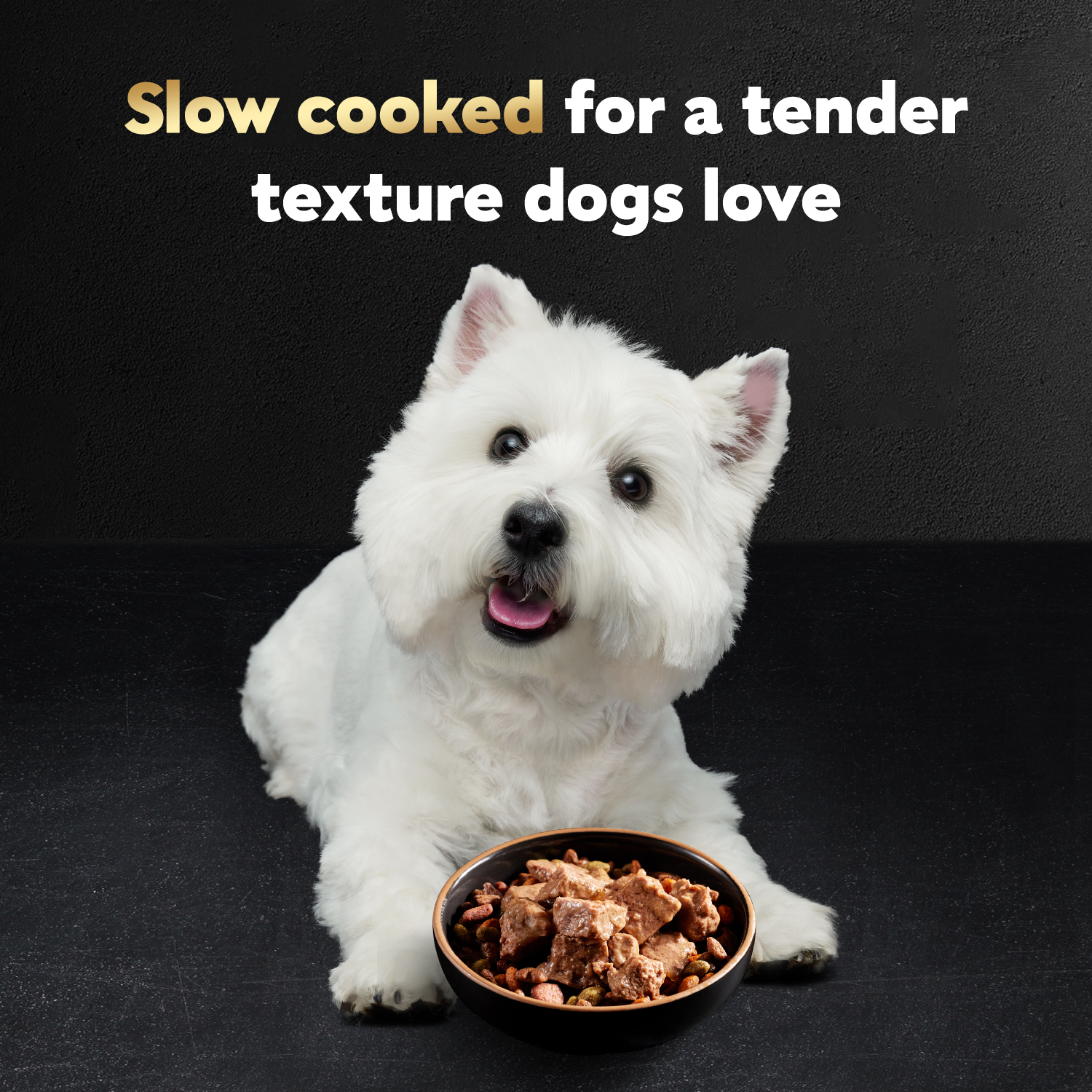 slide 7 of 8, Cesar Loaf & Topper in Sauce 4 Flavors Canine Cuisine 24 - 100 g Trays, 24 ct