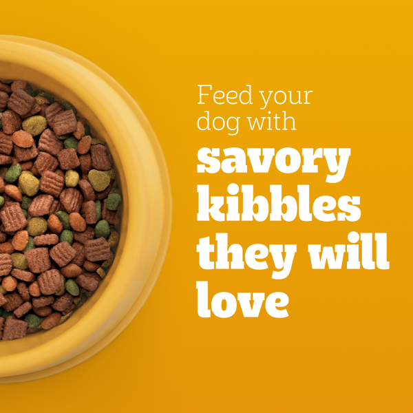 slide 12 of 29, Pedigree High Protein with Red Meat Adult Beef & Lamb Flavor Dog Food 56 oz, 3.5 lb