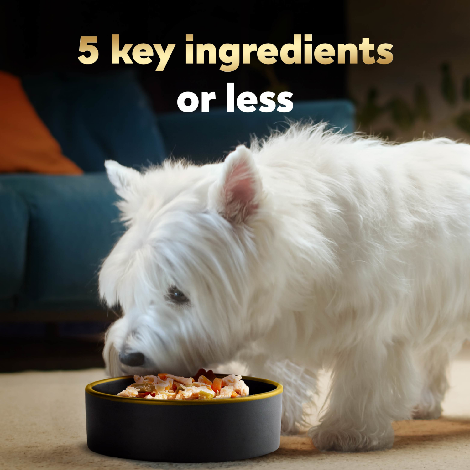 slide 7 of 8, Cesar Simply Crafted 2 Varieties In Natural Juice Canine Cuisine Complement 8 - 1.3 oz Tubs, 8 ct