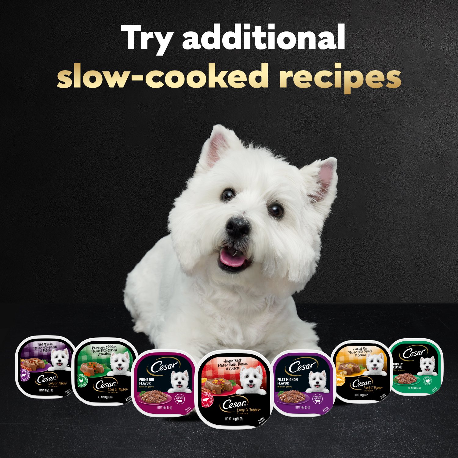 slide 5 of 8, Cesar Wet Dog Food Loaf & Topper in Sauce Bacon Feast Variety Pack, 12 ct; 3.5 oz