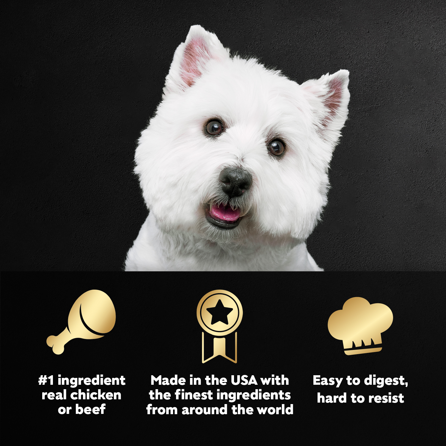 slide 6 of 8, Cesar Wet Dog Food Loaf & Topper in Sauce Bacon Feast Variety Pack, 12 ct; 3.5 oz