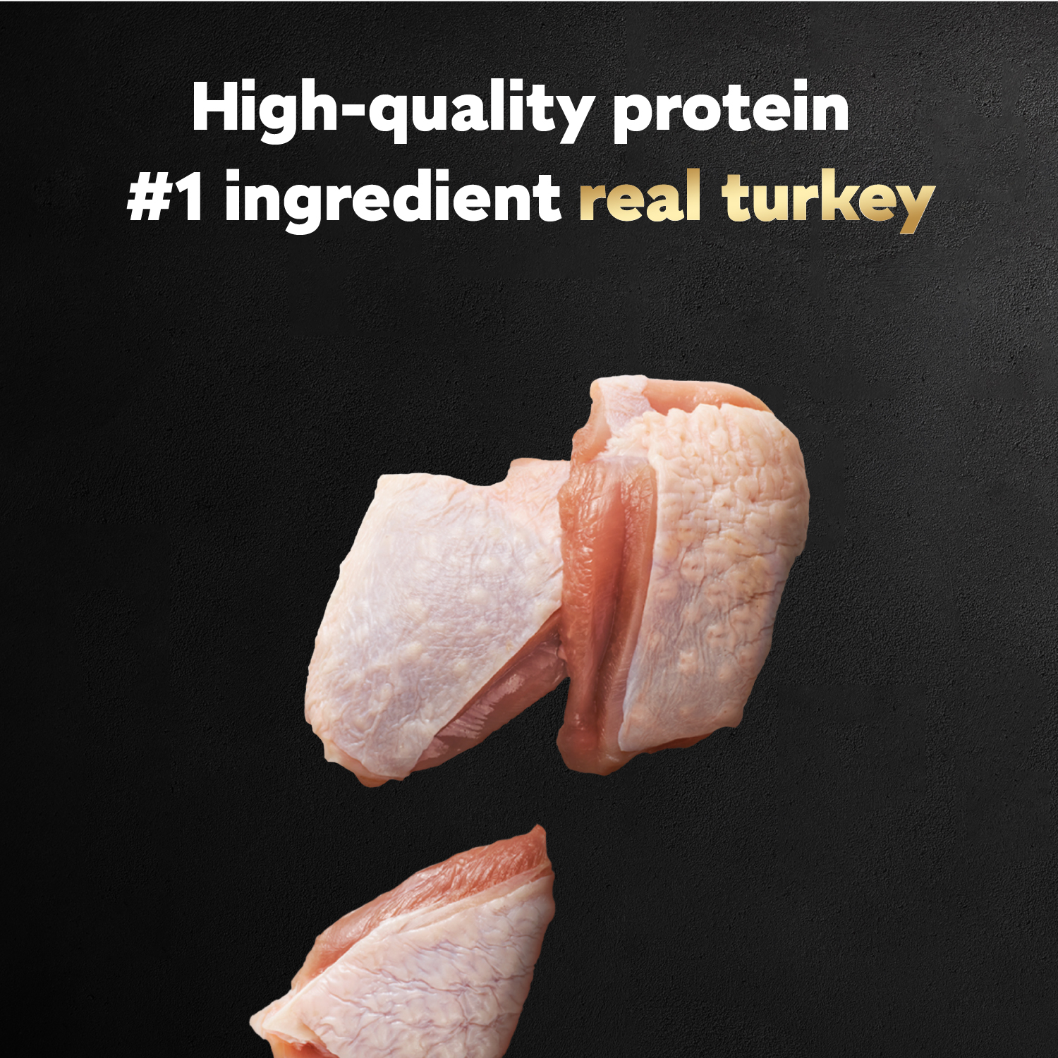 slide 4 of 8, Cesar Wet Dog Food Fillets in Gravy Turkey Recipe Tray, 3.5 oz