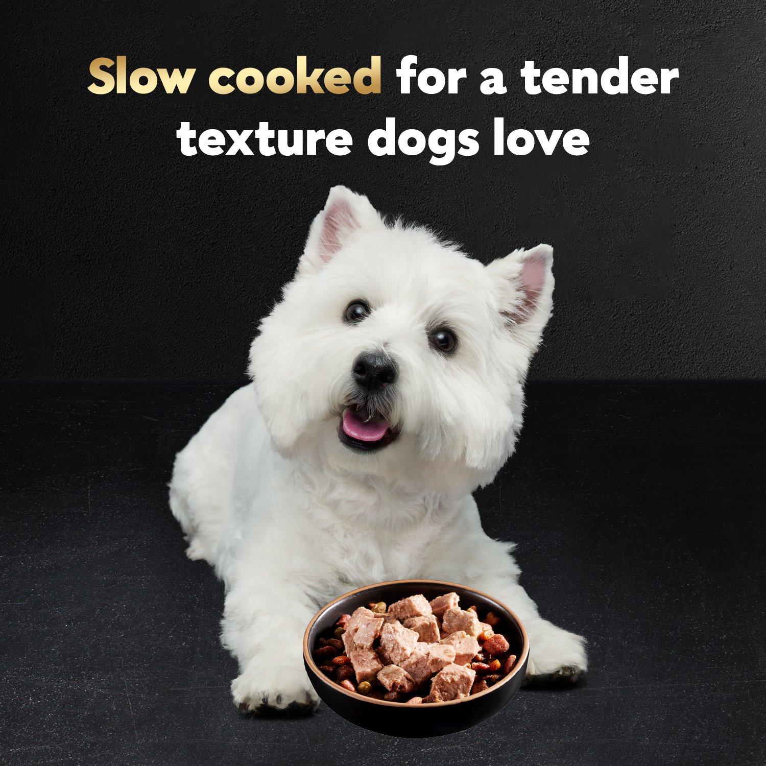 slide 7 of 8, Cesar Wet Dog Food Fillets in Gravy Turkey Recipe Tray, 3.5 oz