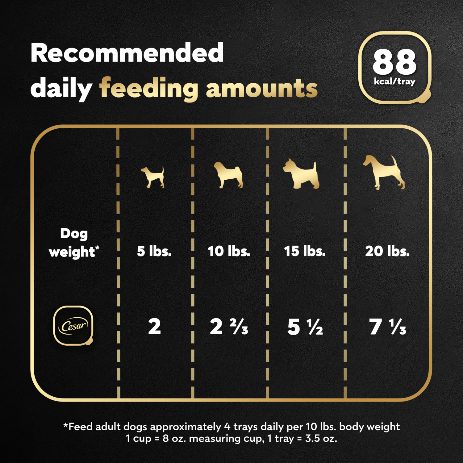 slide 8 of 8, Cesar Wet Dog Food Fillets in Gravy Turkey Recipe Tray, 3.5 oz