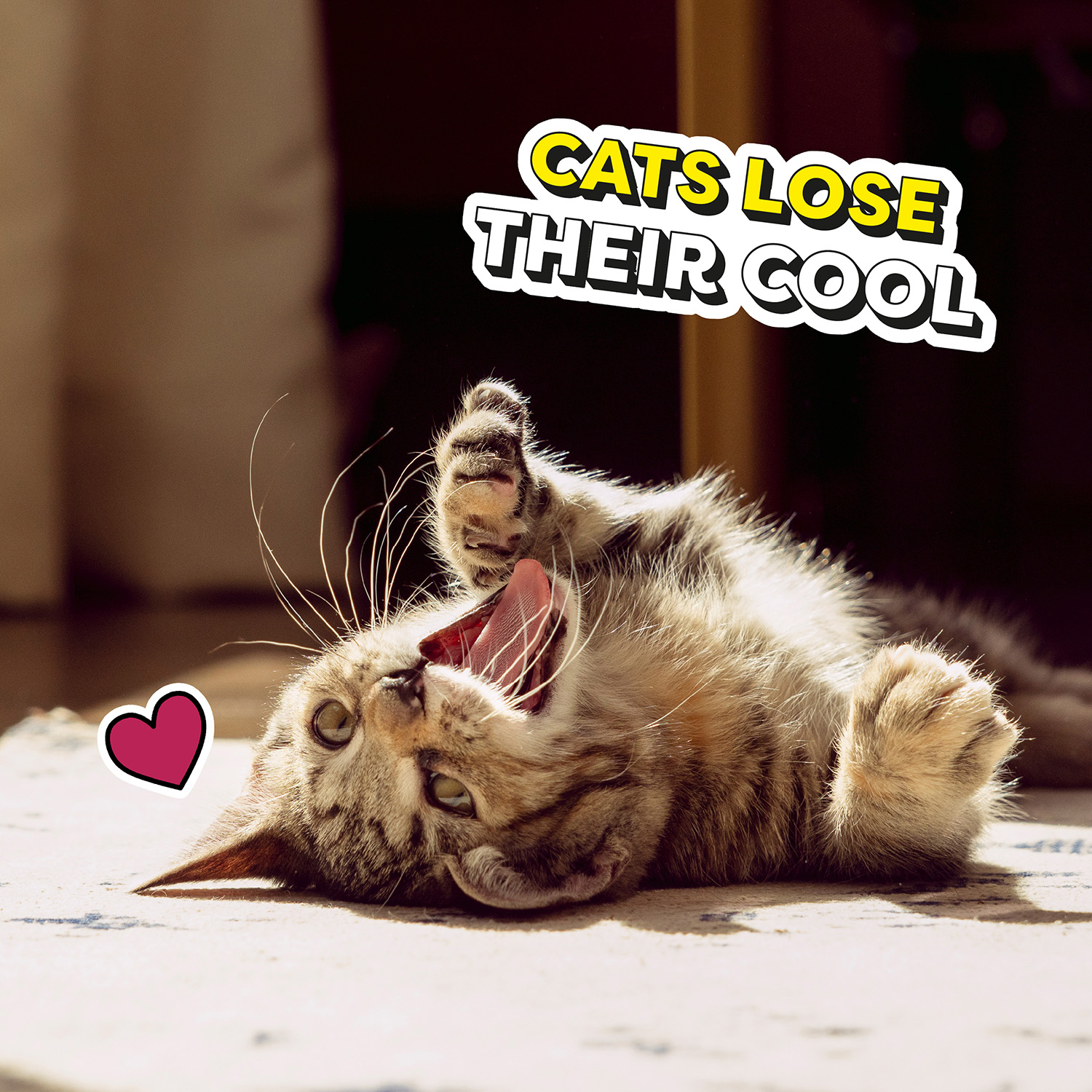 slide 3 of 5, TEMPTATIONS Chicken and Dairy Flavor Crunchy and Soft Kitten Treats, 3 oz