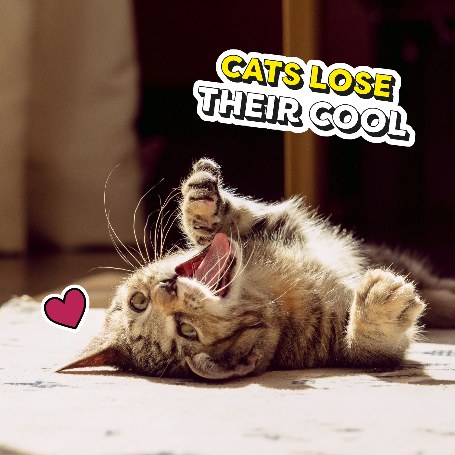 slide 3 of 5, Temptations Kitten Chicken & Dairy Flavor Treats for Cats Mega 6.3 oz, 6.3 oz