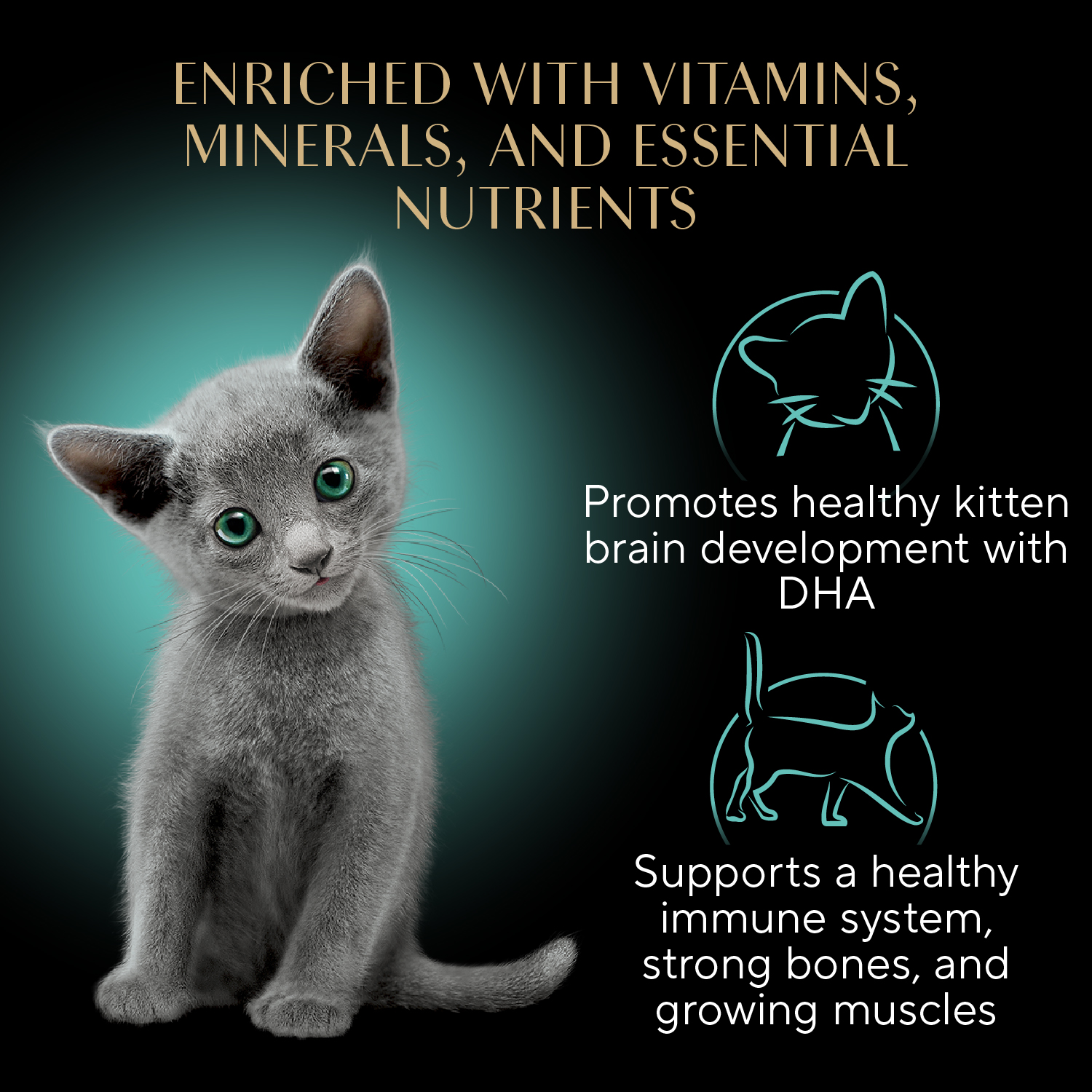 slide 7 of 7, Sheba Perfect Portions Soft Pate Premium Savory Chicken Entree/Delicate Salmon Entree Kitten Food Variety Pack Pack 24 ea, 24 ct