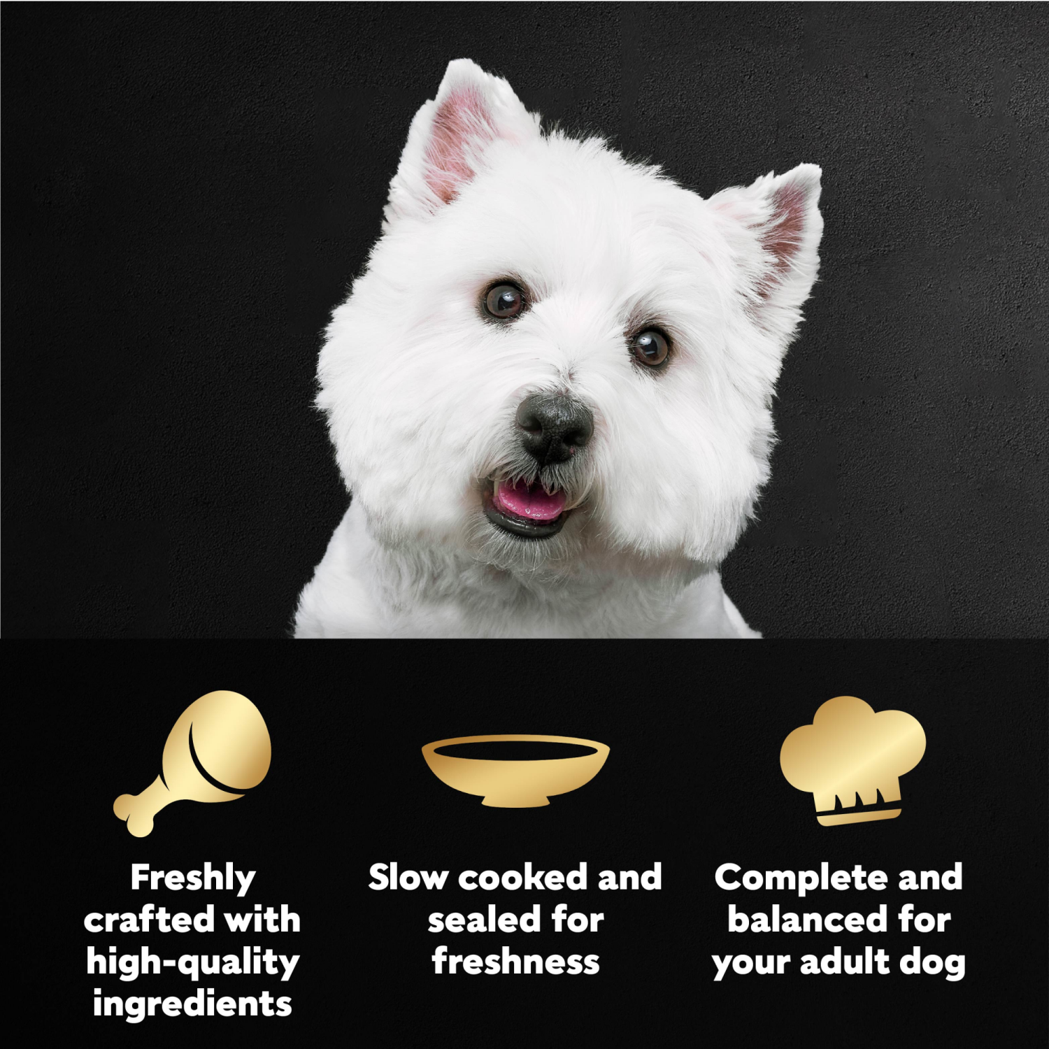 slide 6 of 8, Cesar Filets in Gravy Wood-Grilled Chicken Flavor Canine Cuisine 1.76 oz, 1.76 oz