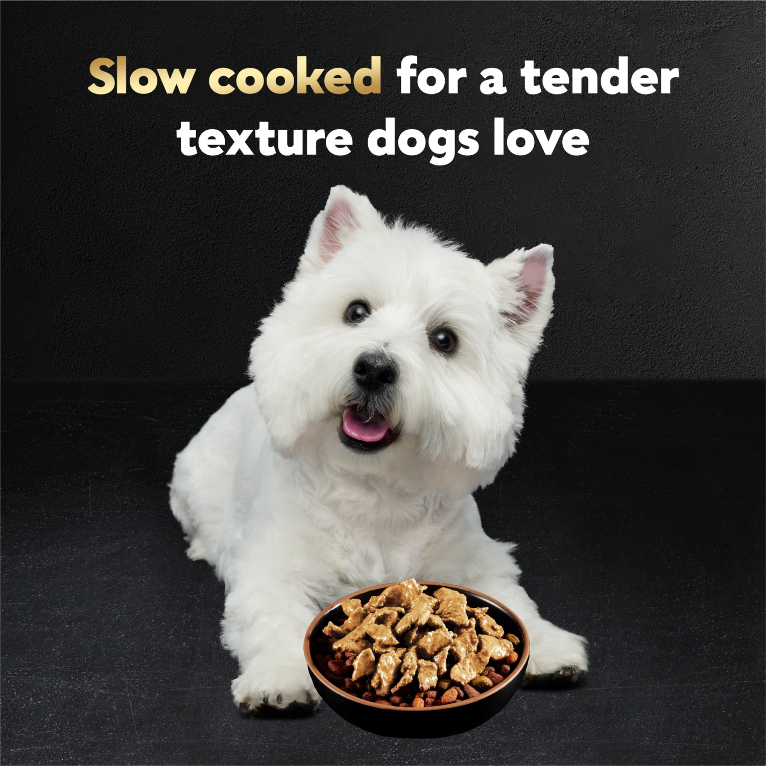 slide 7 of 8, Cesar Filets in Gravy Wood-Grilled Chicken Flavor Canine Cuisine 1.76 oz, 1.76 oz