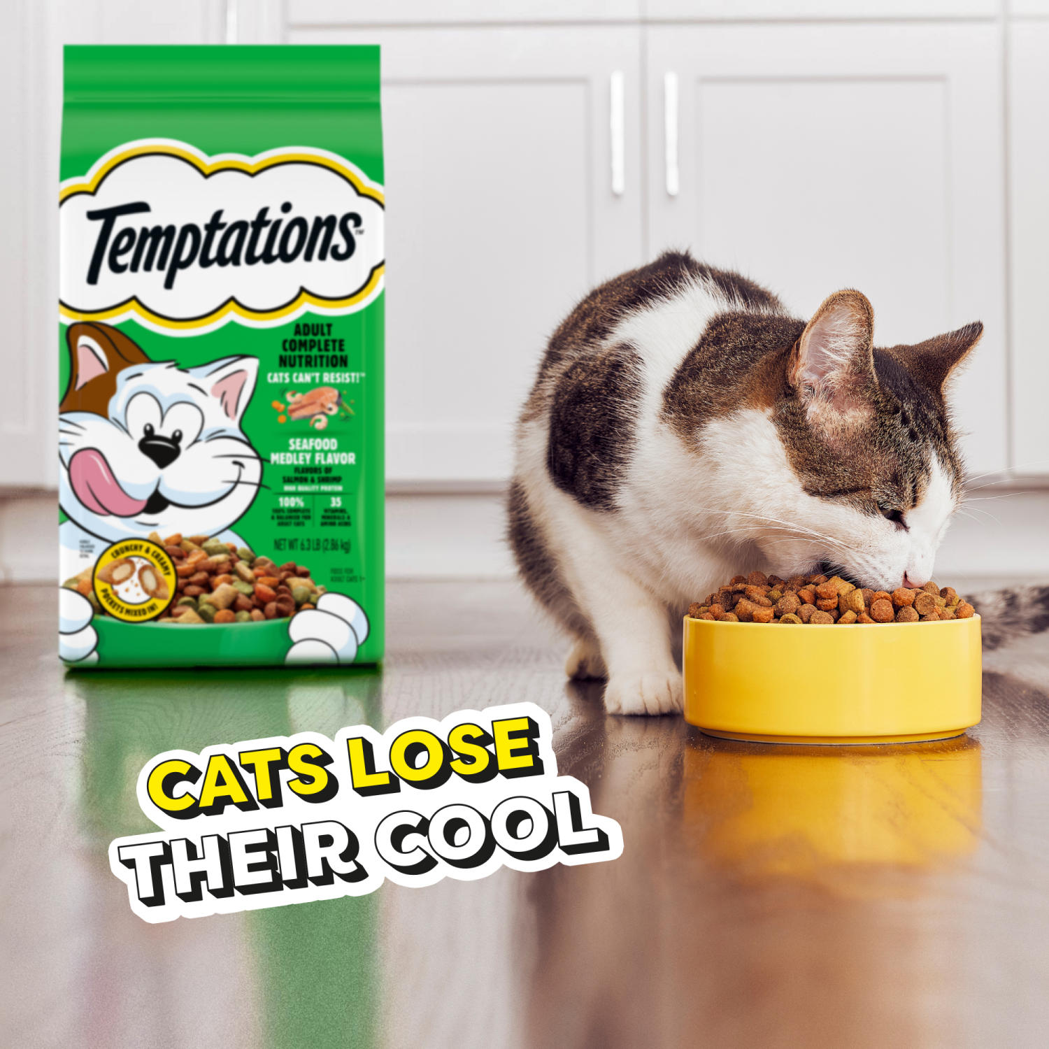 slide 2 of 8, Temptations Adult 1+ Block Party BBQ Food for Cats 6.3 lb, 6.3 lb