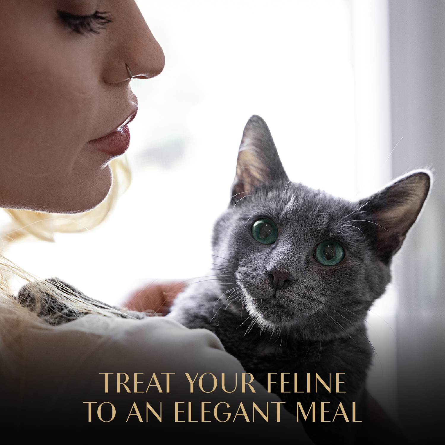 slide 2 of 8, Sheba Gravy Indulgence Premium White Fish Entree in Extra Gravy Cat Food 2 - 1.32 oz Packs, 2 ct