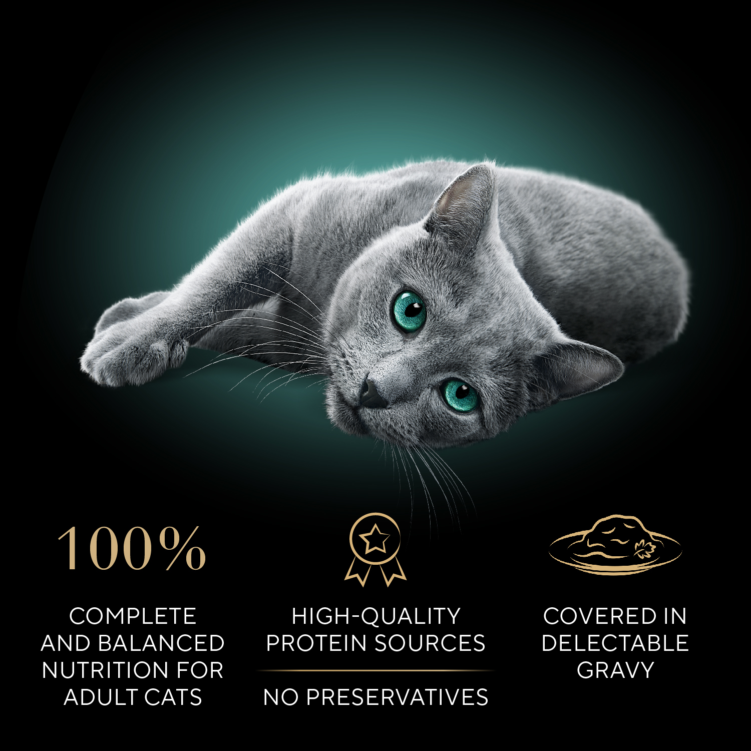 slide 8 of 8, Sheba Gravy Indulgence Premium White Fish Entree in Extra Gravy Cat Food 2 - 1.32 oz Packs, 2 ct