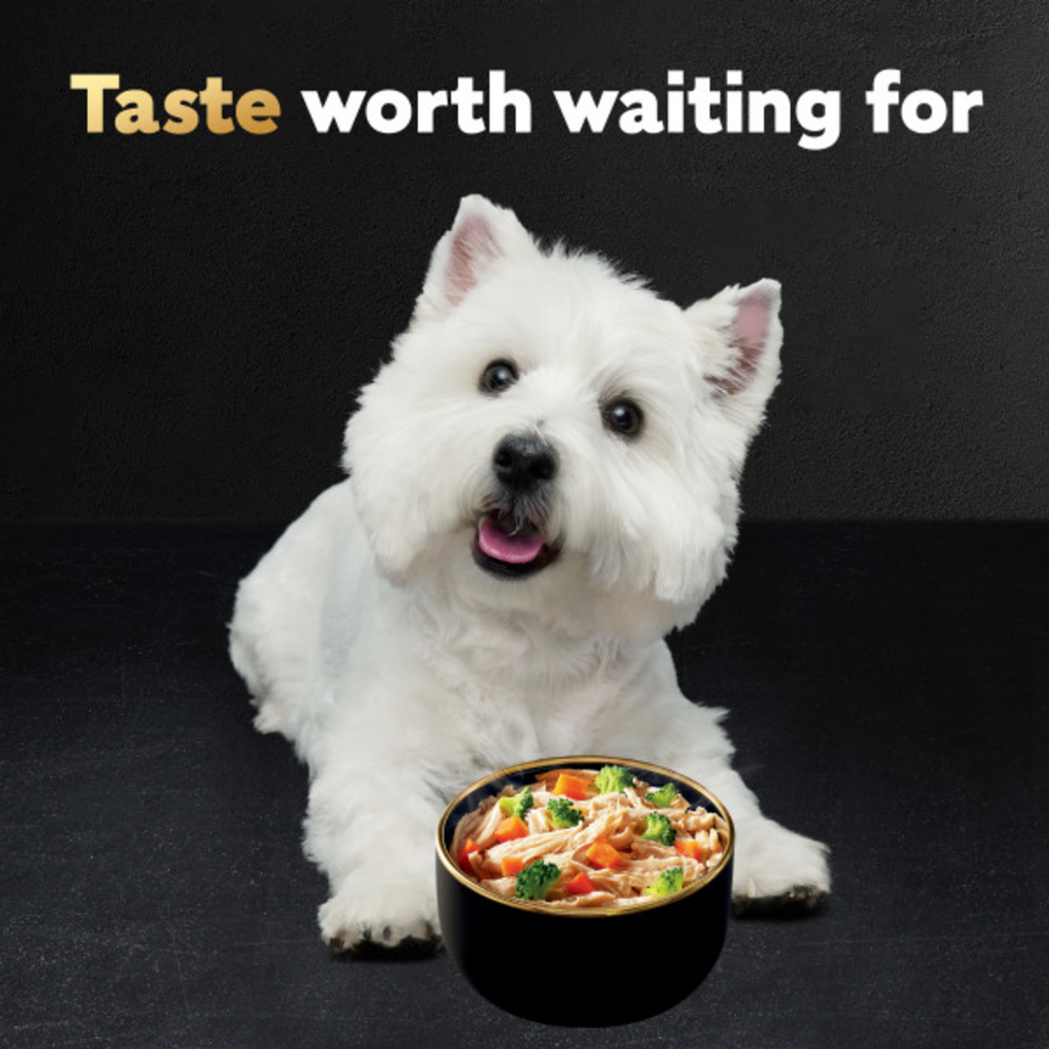 slide 6 of 8, Cesar Warm Bowls Slow Cooked Chicken & Beef Entree/Roasted Chicken Entree Canine Cuisine 6 - 77 g Bowls, 6 ct