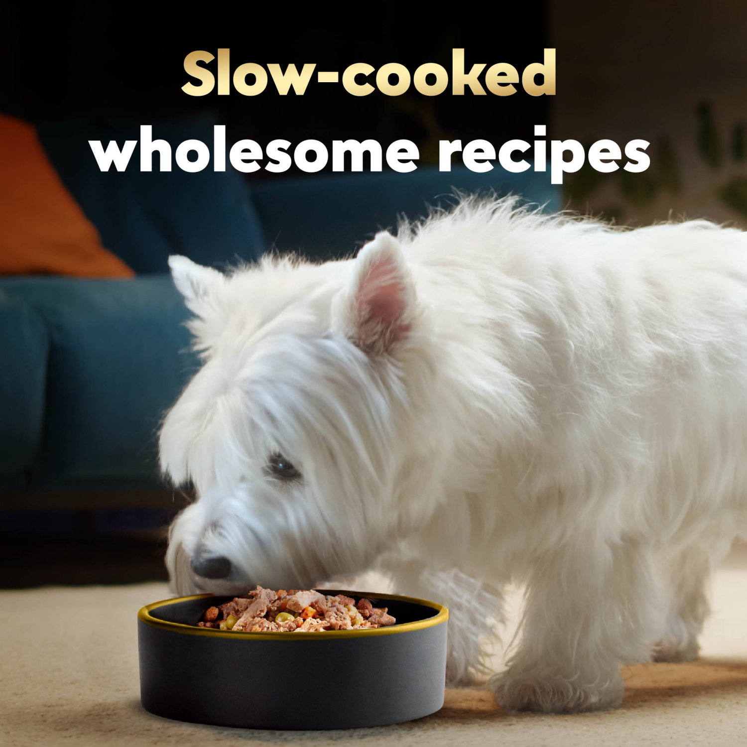 slide 7 of 8, Cesar Wholesome Meals Canine Cuisine 17.6 oz, 17.6 oz
