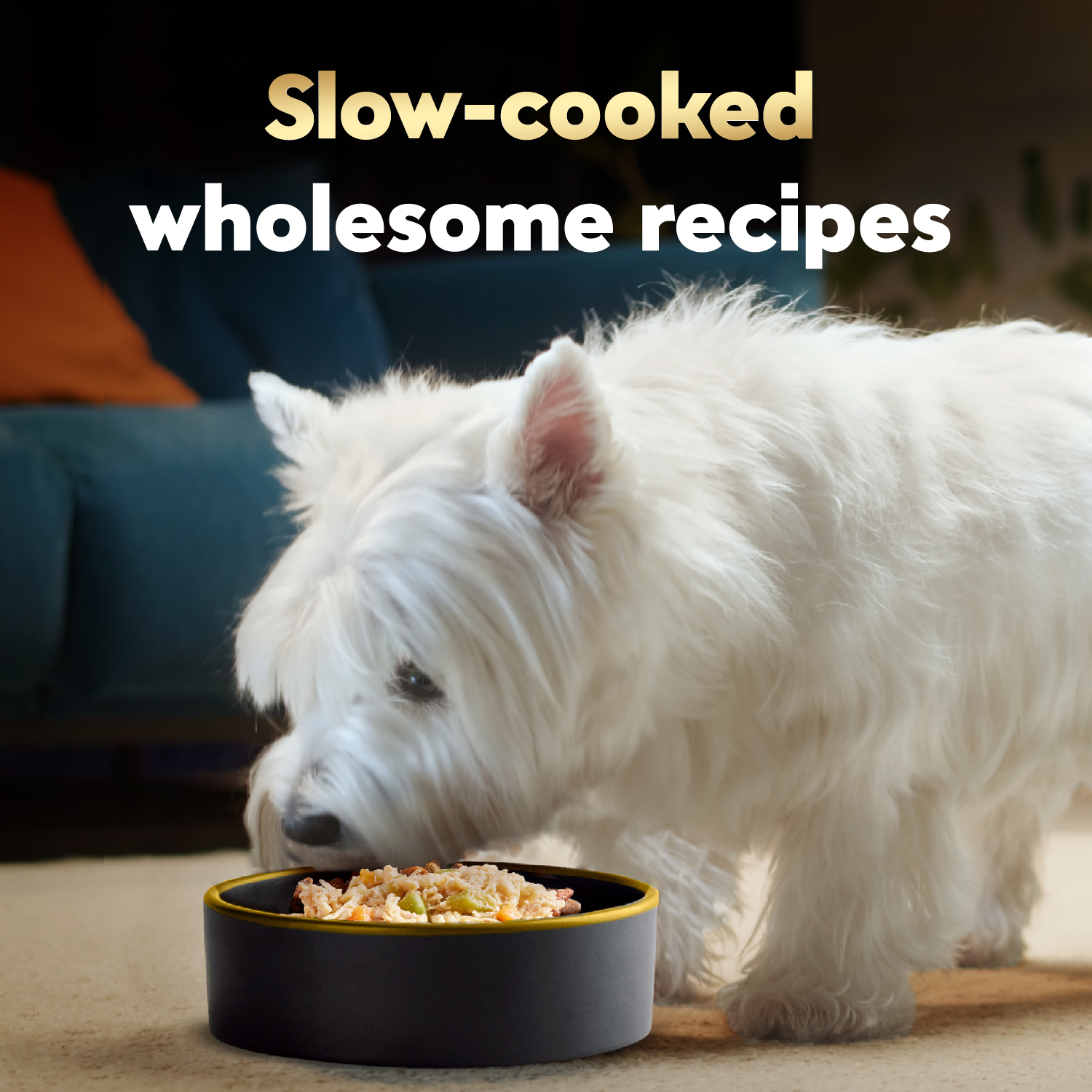 slide 7 of 8, Cesar Chicken, Carrots, Barley & Green Beans Recipe Dog Food 17.6 oz, 17.6 oz