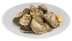 Oysters Live Eastern In Shell 1 Oz