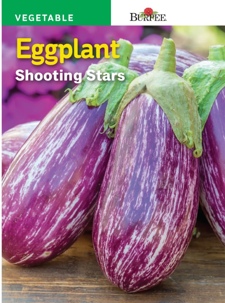 slide 1 of 1, Burpee Shooting Stars Eggplant Seeds - Purple, 1 ct