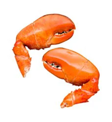 Lobster Claw Scored North Atlantic - 1 Lb