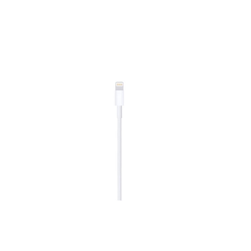 slide 3 of 3, Apple Lightning to USB Cable 2M, 1 ct