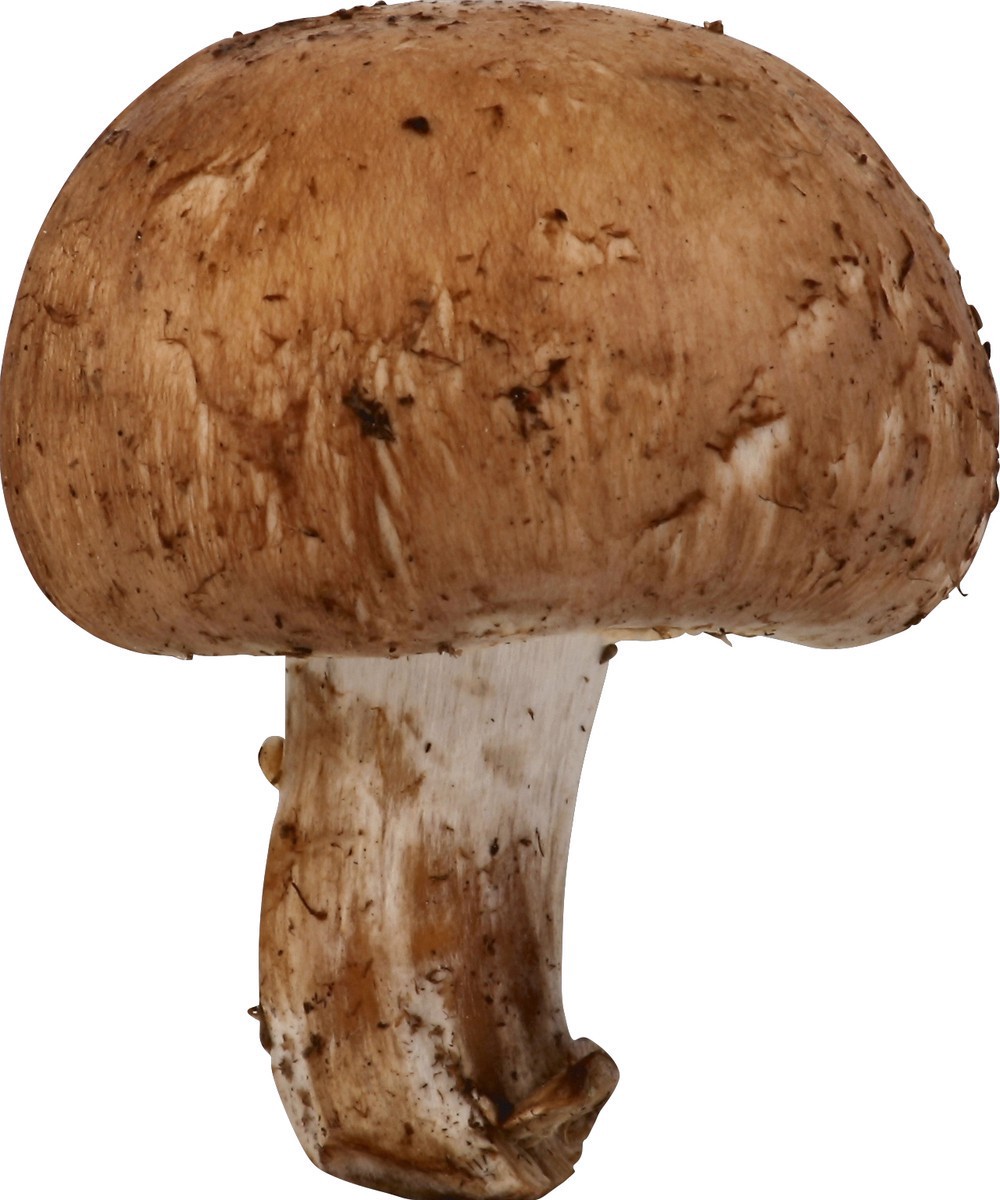 slide 1 of 1, GreenWise Organic Whole Baby Bella Mushrooms, 8 oz