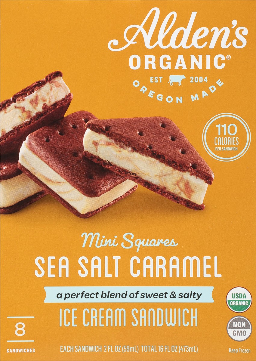 slide 5 of 11, Alden's Organic Mini Squares Sea Salt Caramel Ice Cream Sandwich 8 - 2 fl oz, 8 ct