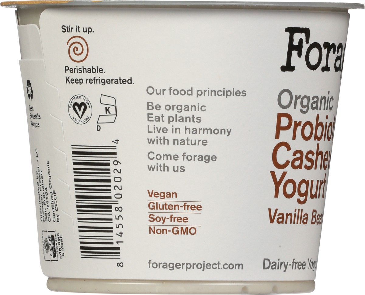 slide 10 of 11, Forager Project Dairy-Free Organic Vanilla Bean Cashewmilk Yogurt 5.3 oz, 5.3 oz