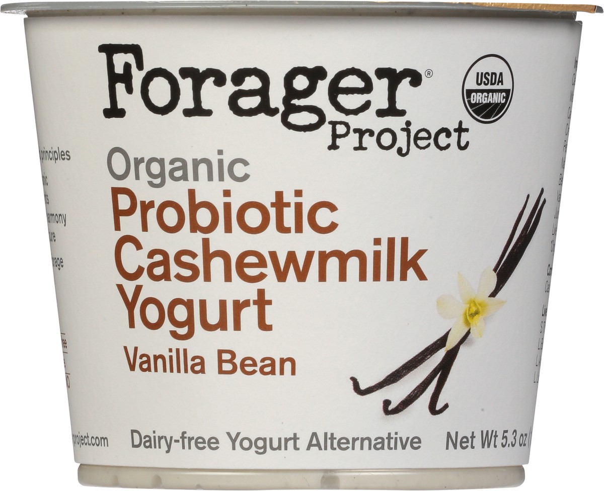 slide 4 of 11, Forager Project Dairy-Free Organic Vanilla Bean Cashewmilk Yogurt 5.3 oz, 5.3 oz