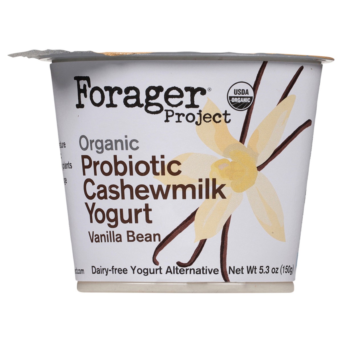 slide 1 of 11, Forager Project Dairy-Free Organic Vanilla Bean Cashewmilk Yogurt 5.3 oz, 5.3 oz