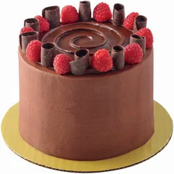 H-E-B Bakery Chocolate Raspberry Cake