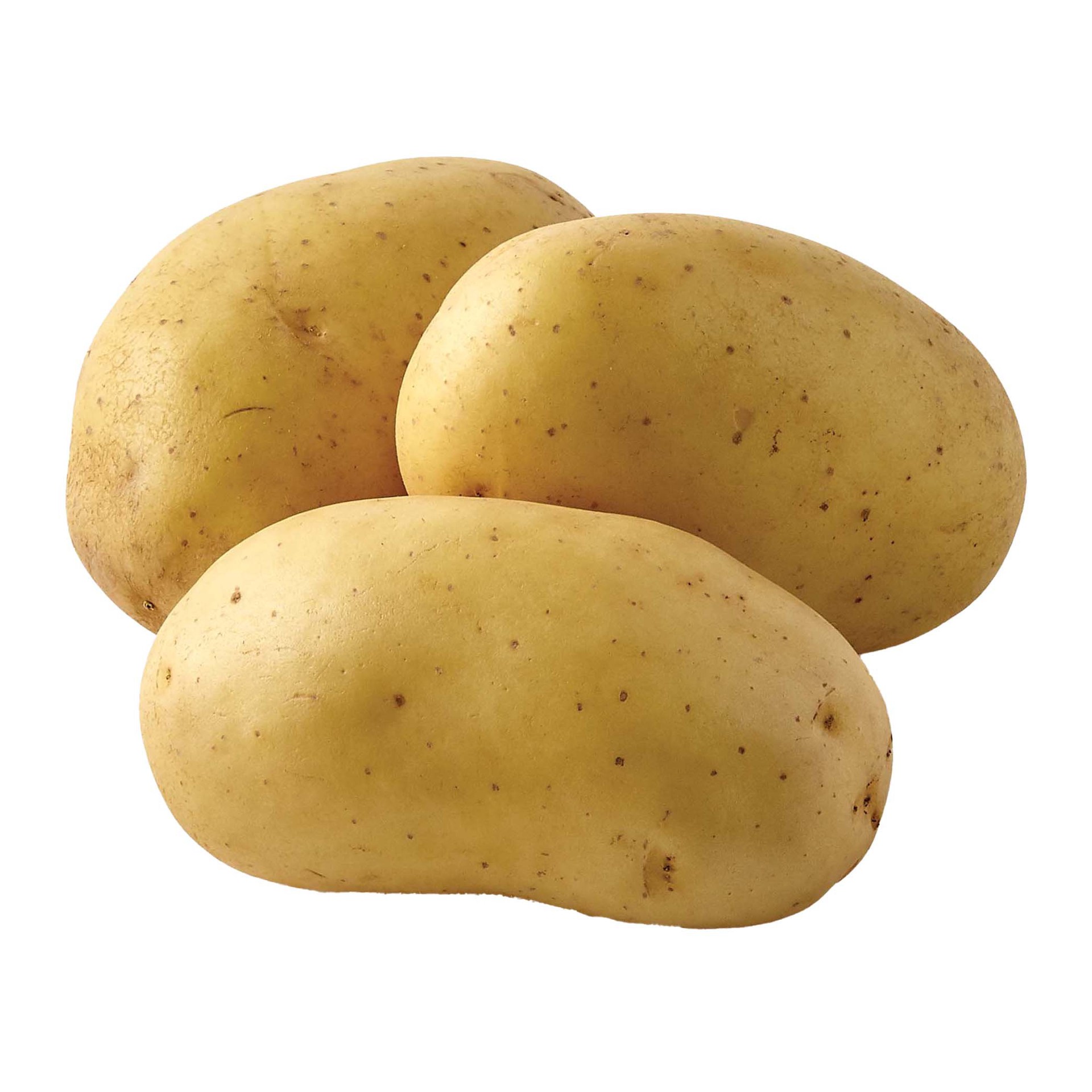 slide 1 of 1, Fresh White Potatoes, 1 ct