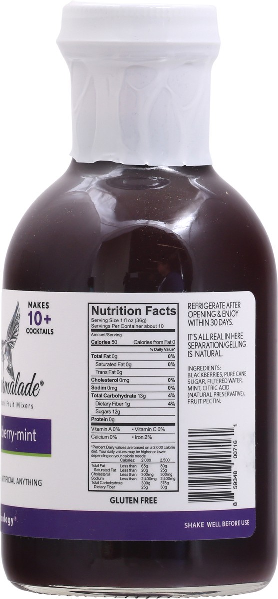 slide 4 of 12, Barmalade Blackberry-Mint Fruit Mixers - 10 fl oz, 10 fl oz