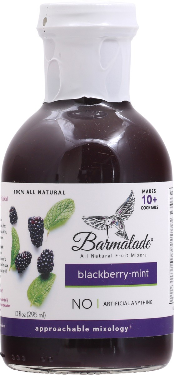 slide 9 of 12, Barmalade Blackberry-Mint Fruit Mixers - 10 fl oz, 10 fl oz