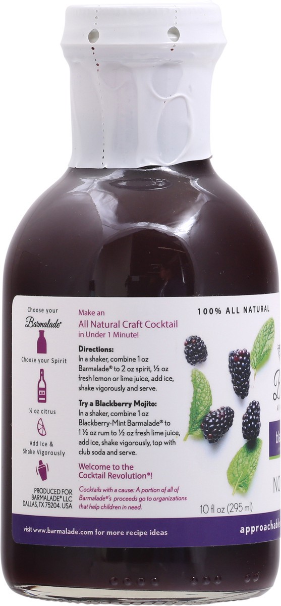slide 2 of 12, Barmalade Blackberry-Mint Fruit Mixers - 10 fl oz, 10 fl oz