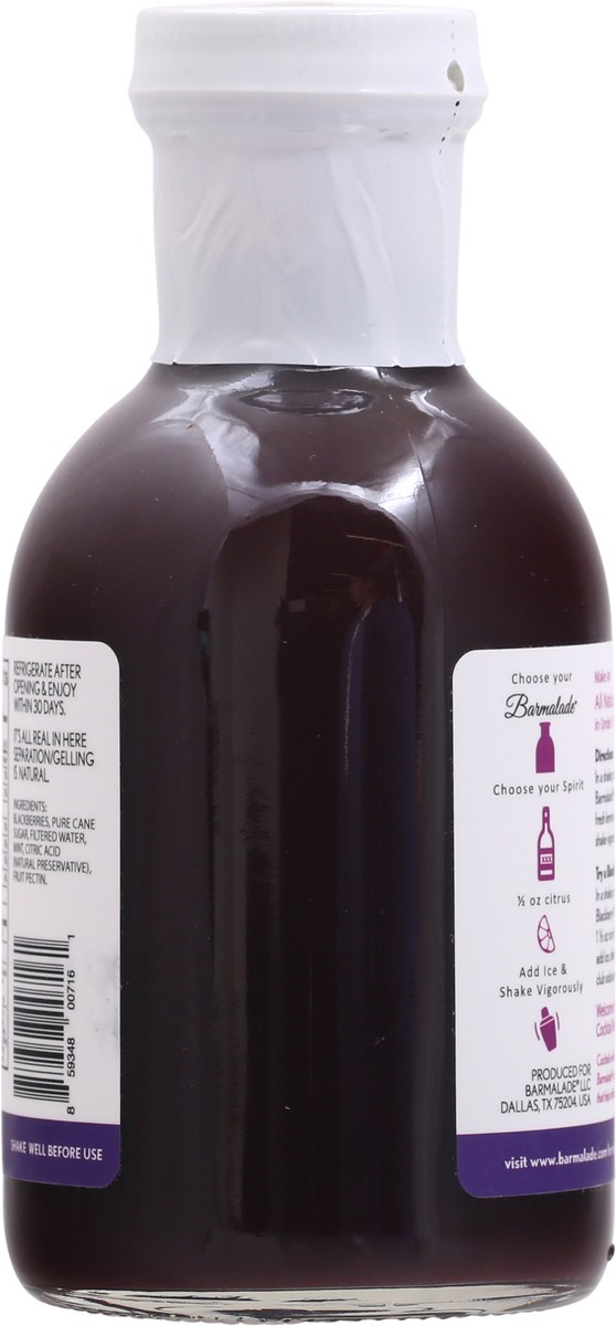 slide 11 of 12, Barmalade Blackberry-Mint Fruit Mixers - 10 fl oz, 10 fl oz