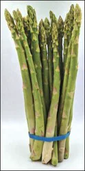 Asparagus- Green