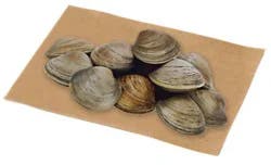 Littleneck Clams 12 Count Live - Ea