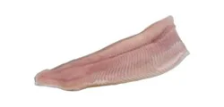 Trout Rainbow Fillet Min 6 Oz Fresh