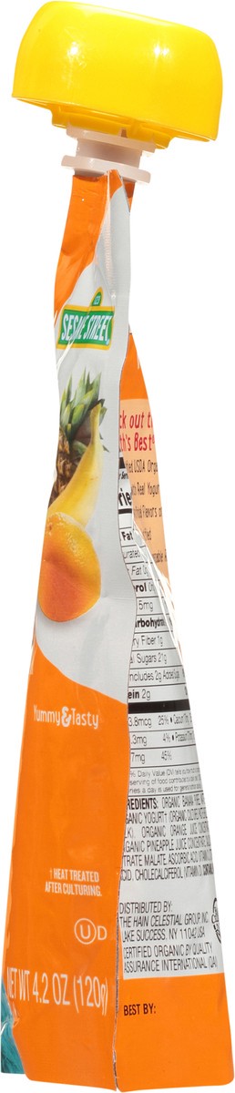 slide 6 of 7, Earth's Best Organic Sesame Street Pineapple Orange Banana Organic Fruit Yogurt Smoothie 4.2 oz. Pouch, 4.2 oz