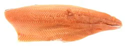 Fresh Salmon Fillet