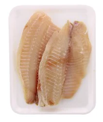 Fresh Tilapia Fillet