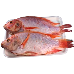 Whole Tilapia