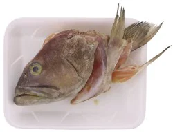 Fresh Grouper Head